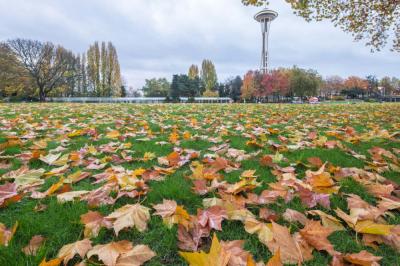 Five Fall Must-See Places in Seattle this Fall